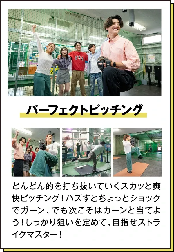 パーフェクトピッチング